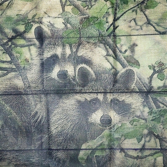 Raccoon Pillow Cover. Real Raccoon. Coon - Picture 11 of 11